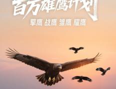 乐鱼体育-守护荣耀，勇往直前永不停息