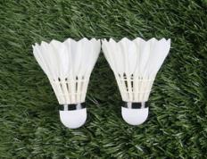 乐鱼体育app-泰国羽毛球队完胜中国羽毛球队，戴资颖三分雨点燃全场