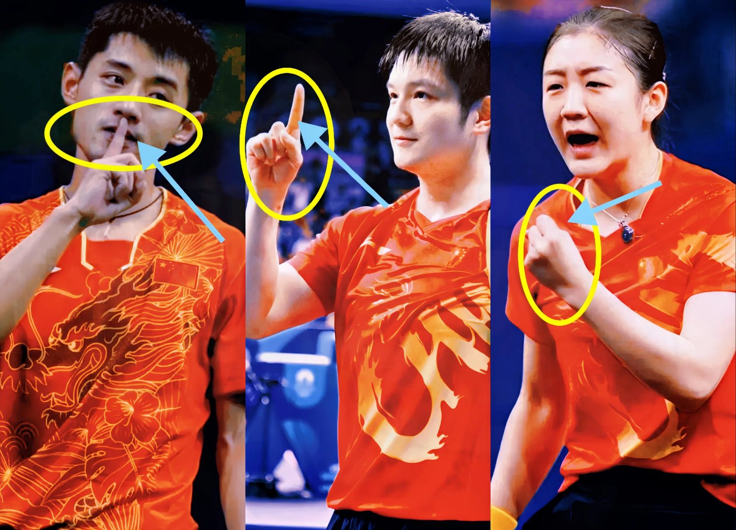 乐鱼app-关于奥地利乒乓球队鏖战波兰乒乓球队,张继科送出助攻的信息