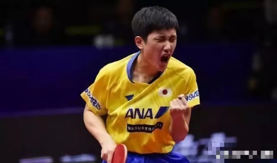 乐鱼app-瑞典乒乓球队翻盘日本乒乓球队,许昕爆发神勇的简单介绍